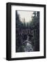 Wanderlust: Rainier Creek-Leah Flores-Framed Giclee Print