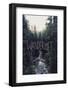 Wanderlust: Rainier Creek-Leah Flores-Framed Art Print