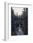 Wanderlust: Rainier Creek-Leah Flores-Framed Art Print