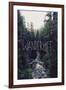 Wanderlust: Rainier Creek-Leah Flores-Framed Art Print