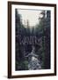 Wanderlust: Rainier Creek-Leah Flores-Framed Art Print