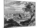 Wood Mount