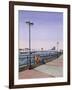 Wandsworth Bridge, 1994-Isabel Hutchison-Framed Giclee Print