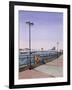 Wandsworth Bridge, 1994-Isabel Hutchison-Framed Giclee Print