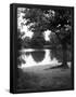 Essential Black
