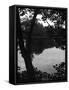 Wandsworth Common-null-Framed Stretched Canvas