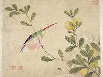 One of a Series of Paintings of Birds and Fruit, Late 19th Century-Wang Guochen-Premium Giclee Print