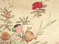 One of a Series of Paintings of Birds and Fruit, Late 19th Century-Wang Guochen-Giclee Print