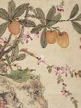 One of a Series of Paintings of Birds and Fruit, Late 19th Century-Wang Guochen-Mounted Giclee Print