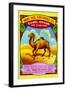 Wang Yick Fireworks Camel Brand-null-Framed Art Print