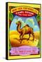 Wang Yick Fireworks Camel Brand-null-Framed Stretched Canvas