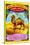 Wang Yick Fireworks Camel Brand-null-Stretched Canvas