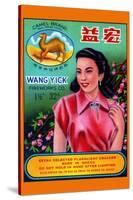 Wang Yick Fireworks-null-Stretched Canvas