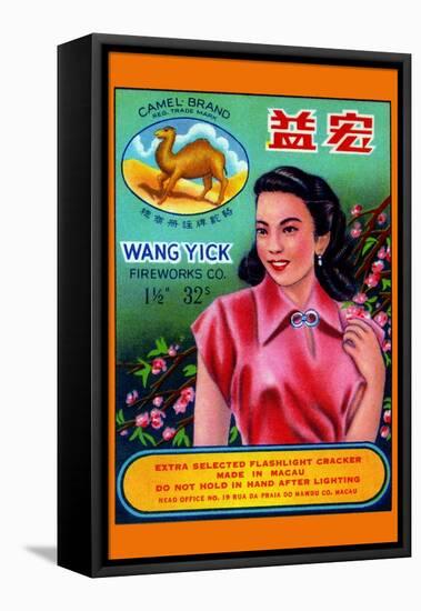 Wang Yick Fireworks-null-Framed Stretched Canvas