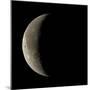 Waning Crescent Moon-Eckhard Slawik-Mounted Premium Photographic Print