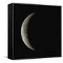 Waning Crescent Moon-Eckhard Slawik-Framed Stretched Canvas