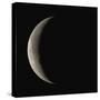 Waning Crescent Moon-Eckhard Slawik-Stretched Canvas