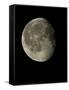 Waning Gibbous Moon-Eckhard Slawik-Framed Stretched Canvas