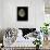 Waning Gibbous Moon-Eckhard Slawik-Framed Stretched Canvas displayed on a wall