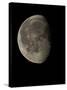 Waning Gibbous Moon-Eckhard Slawik-Stretched Canvas