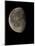 Waning Gibbous Moon-Eckhard Slawik-Mounted Premium Photographic Print