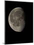 Waning Gibbous Moon-Eckhard Slawik-Mounted Premium Photographic Print