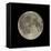 Waning Gibbous Moon-Eckhard Slawik-Framed Stretched Canvas