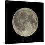 Waning Gibbous Moon-Eckhard Slawik-Stretched Canvas