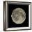 Waning Gibbous Moon-Eckhard Slawik-Framed Premium Photographic Print