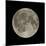 Waning Gibbous Moon-Eckhard Slawik-Mounted Premium Photographic Print