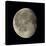 Waning Gibbous Moon-Eckhard Slawik-Stretched Canvas