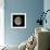 Waning Gibbous Moon-Eckhard Slawik-Framed Premium Photographic Print displayed on a wall