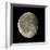 Waning Gibbous Moon-Eckhard Slawik-Framed Premium Photographic Print