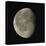 Waning Gibbous Moon-Eckhard Slawik-Stretched Canvas