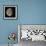 Waning Gibbous Moon-Eckhard Slawik-Framed Premium Photographic Print displayed on a wall