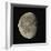 Waning Gibbous Moon-Eckhard Slawik-Framed Premium Photographic Print