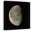 Waning Gibbous Moon-Eckhard Slawik-Stretched Canvas