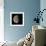 Waning Gibbous Moon-Eckhard Slawik-Framed Premium Photographic Print displayed on a wall