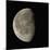 Waning Gibbous Moon-Eckhard Slawik-Mounted Premium Photographic Print