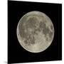 Waning Gibbous Moon-Eckhard Slawik-Mounted Photographic Print