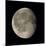 Waning Gibbous Moon-Eckhard Slawik-Mounted Photographic Print