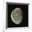 Waning Gibbous Moon-Eckhard Slawik-Framed Photographic Print