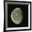 Waning Gibbous Moon-Eckhard Slawik-Framed Photographic Print