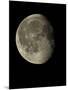 Waning Gibbous Moon-Eckhard Slawik-Mounted Photographic Print