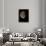 Waning Gibbous Moon-Eckhard Slawik-Framed Photographic Print displayed on a wall