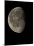 Waning Gibbous Moon-Eckhard Slawik-Mounted Photographic Print