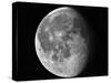 Waning Moon-Stocktrek Images-Stretched Canvas