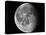 Waning Moon-Stocktrek Images-Stretched Canvas