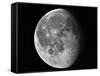 Waning Moon-Stocktrek Images-Framed Stretched Canvas