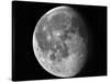 Waning Moon-Stocktrek Images-Stretched Canvas